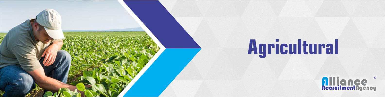 Agricultural Recruitment Agency