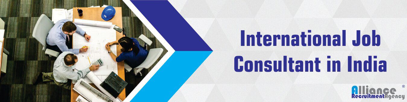 International Job Consultant